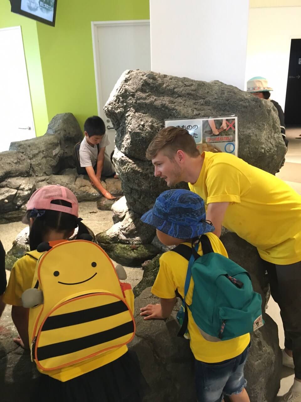 Global Tree International School